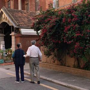 阿部夏树A片免费观看
